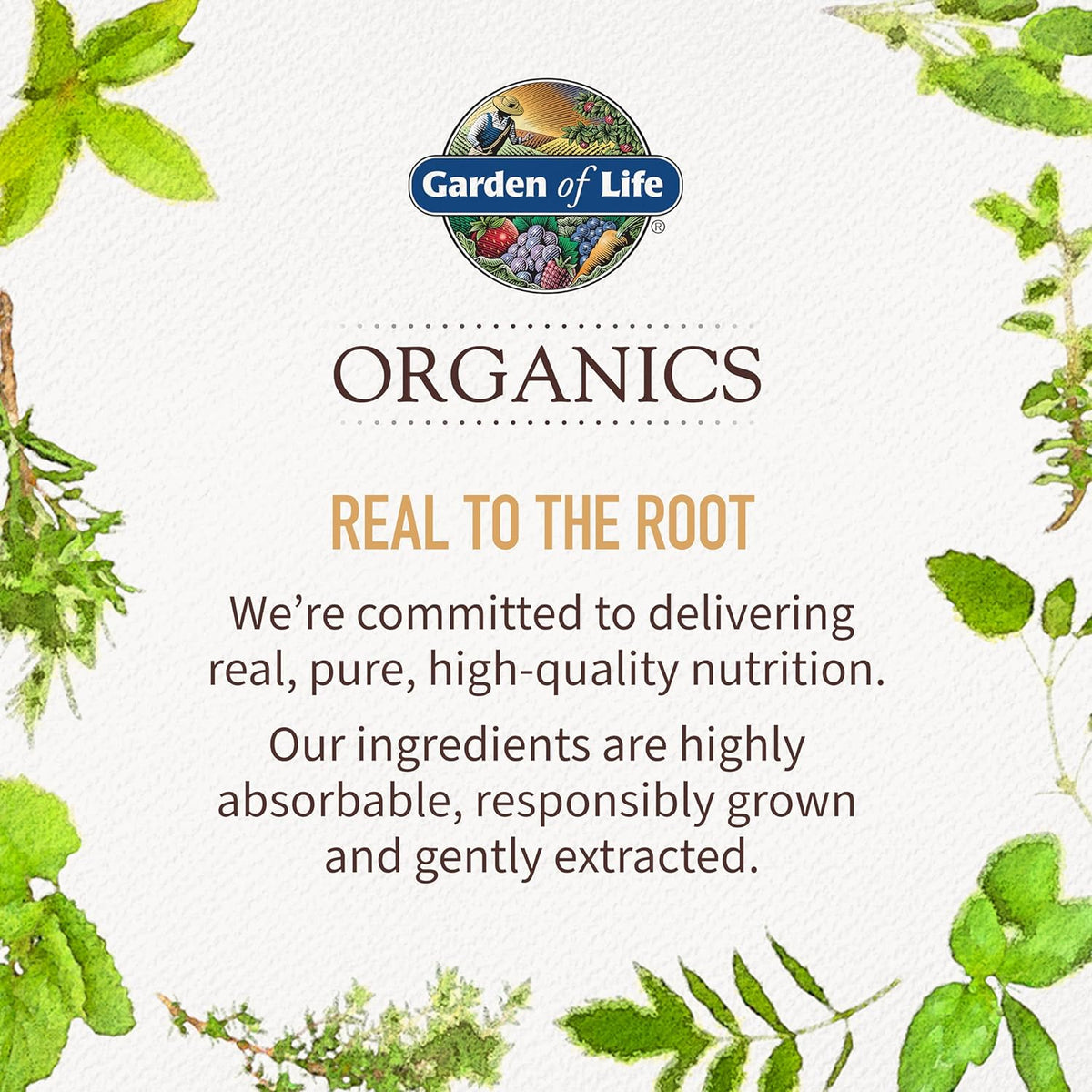 Garden of Life Organics Women's Multi-N101 Nutrition