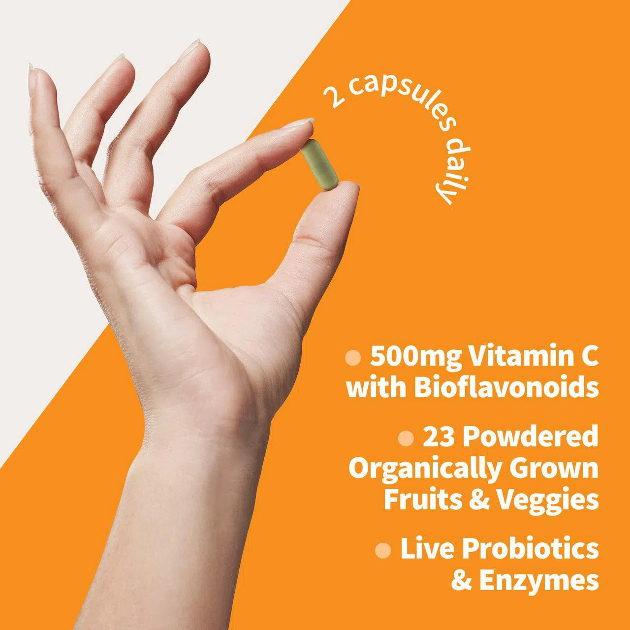 Garden of Life Vitamin Code Raw Vitamin C-60 vegan capsules-N101 Nutrition