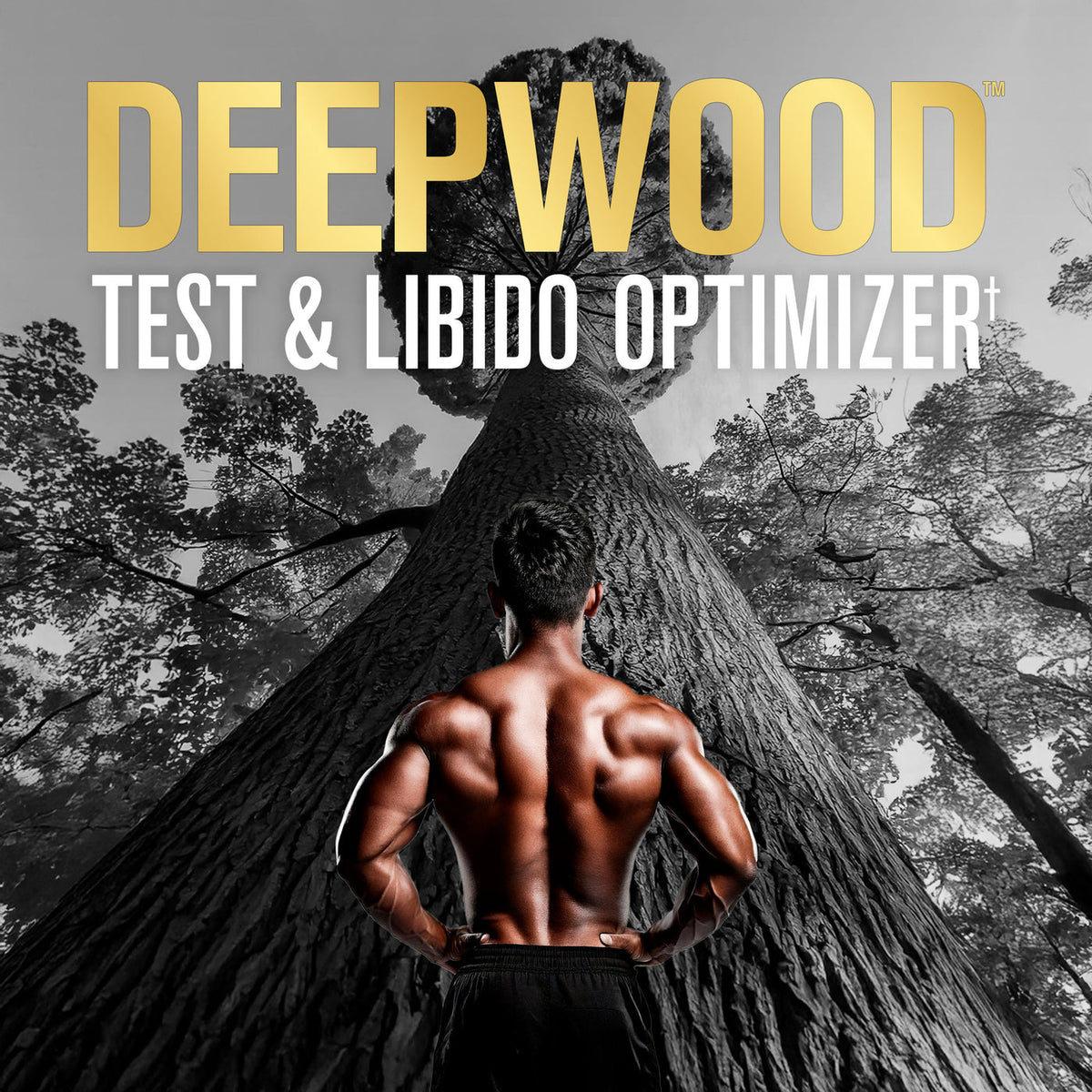 GAT Sport Nitraflex Deep Wood-N101 Nutrition