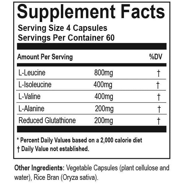 Hammer Nutrition Endurance BCAA+-N101 Nutrition