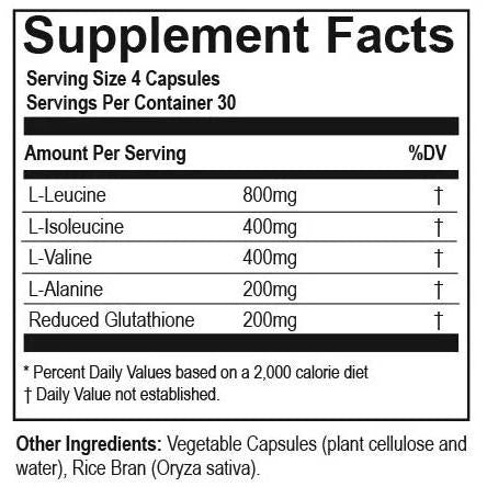 Hammer Nutrition Endurance BCAA+-N101 Nutrition