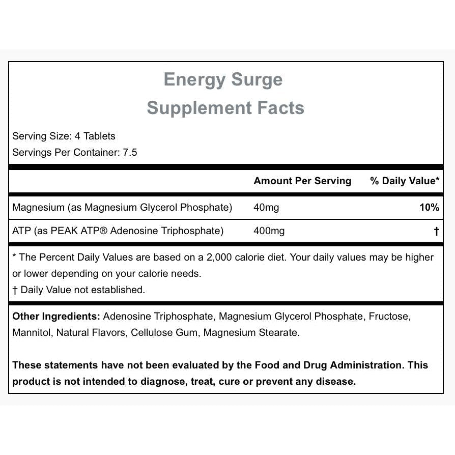 Hammer Nutrition Energy Surge-30 tablets-N101 Nutrition