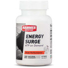 Hammer Nutrition Energy Surge-30 tablets-N101 Nutrition