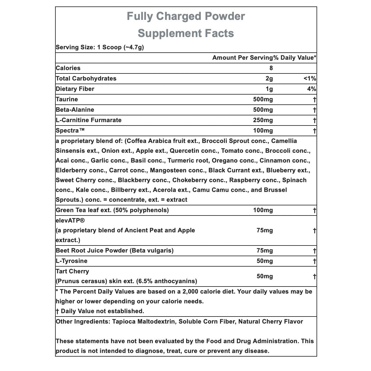 Hammer Nutrition Fully Charged Powder-30 servings-N101 Nutrition