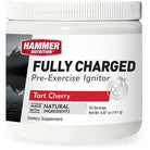 Hammer Nutrition Fully Charged Powder-30 servings-N101 Nutrition