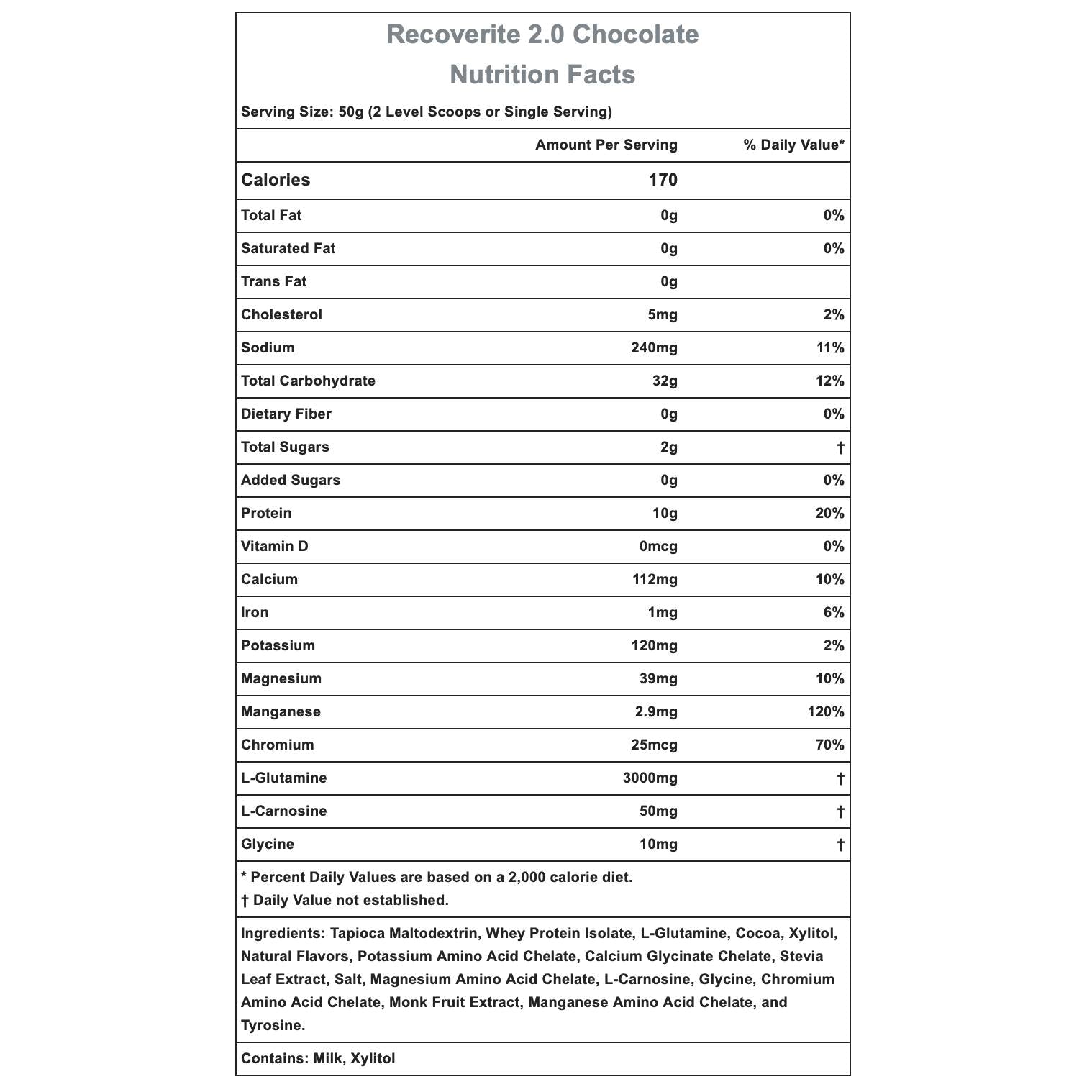 Hammer Nutrition Recoverite 2.0-N101 Nutrition