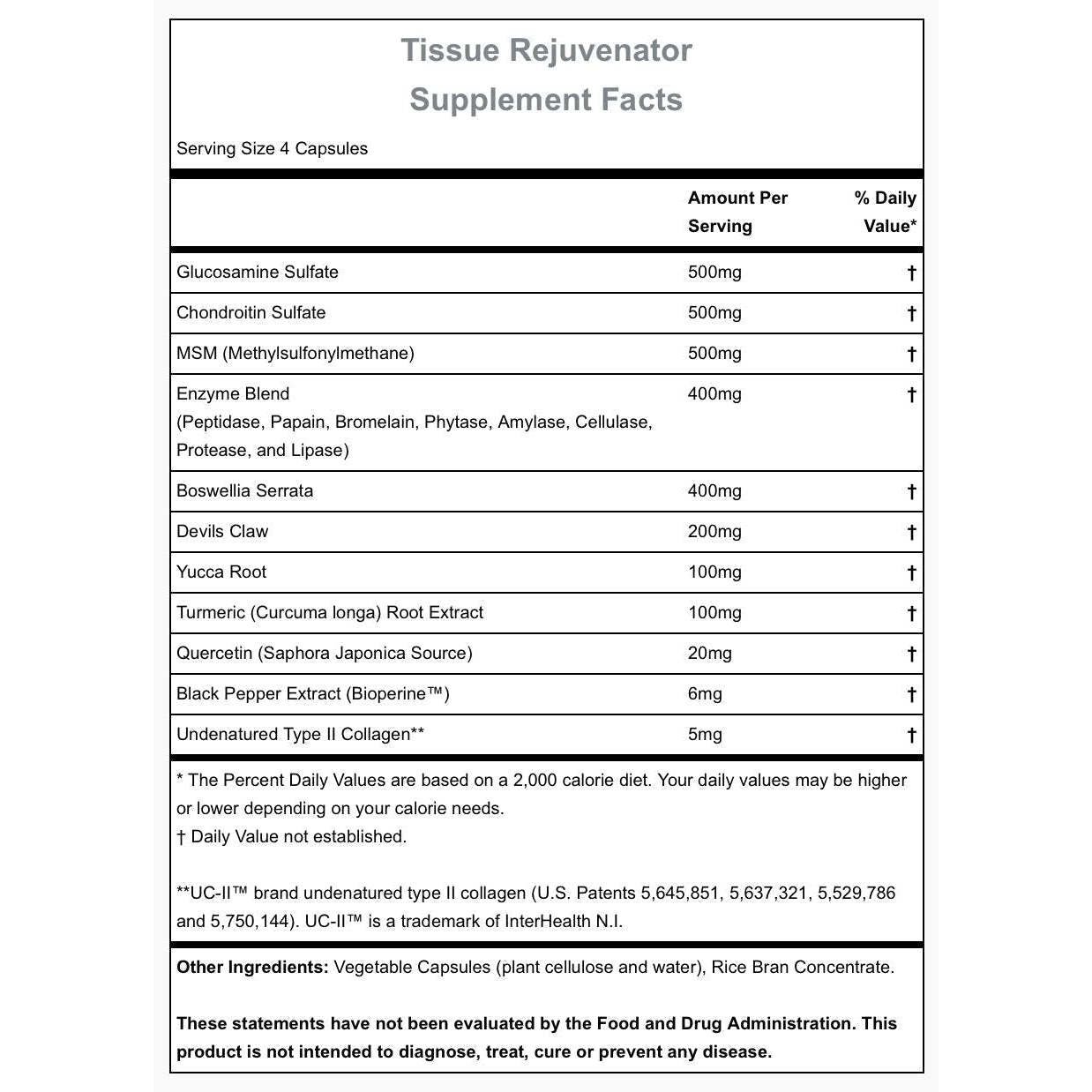 Hammer Nutrition Tissue Rejuvenator-120 capsules-N101 Nutrition