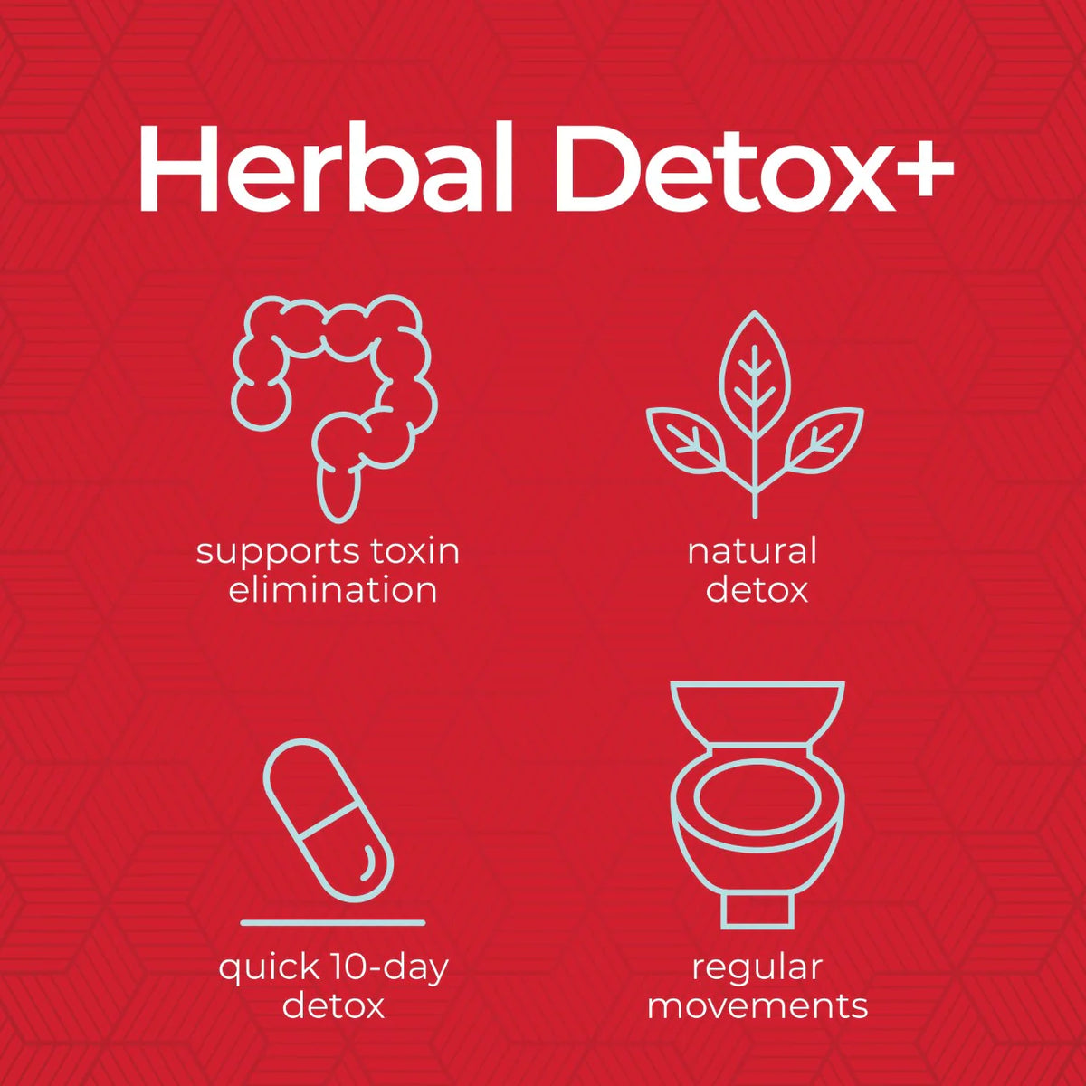 Health Plus Herbal Detox 10-Day Cleanse-N101 Nutrition