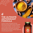 HealthForce SuperFoods Antioxidant Extreme-N101 Nutrition