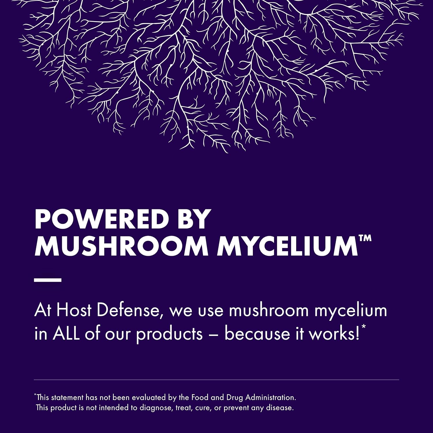 Host Defense Lion's Mane Mushroom Mycelium Powder-N101 Nutrition