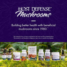 Host Defense Mushrooms MycoBotanicals® Brain-60 vegetarian capsules-N101 Nutrition