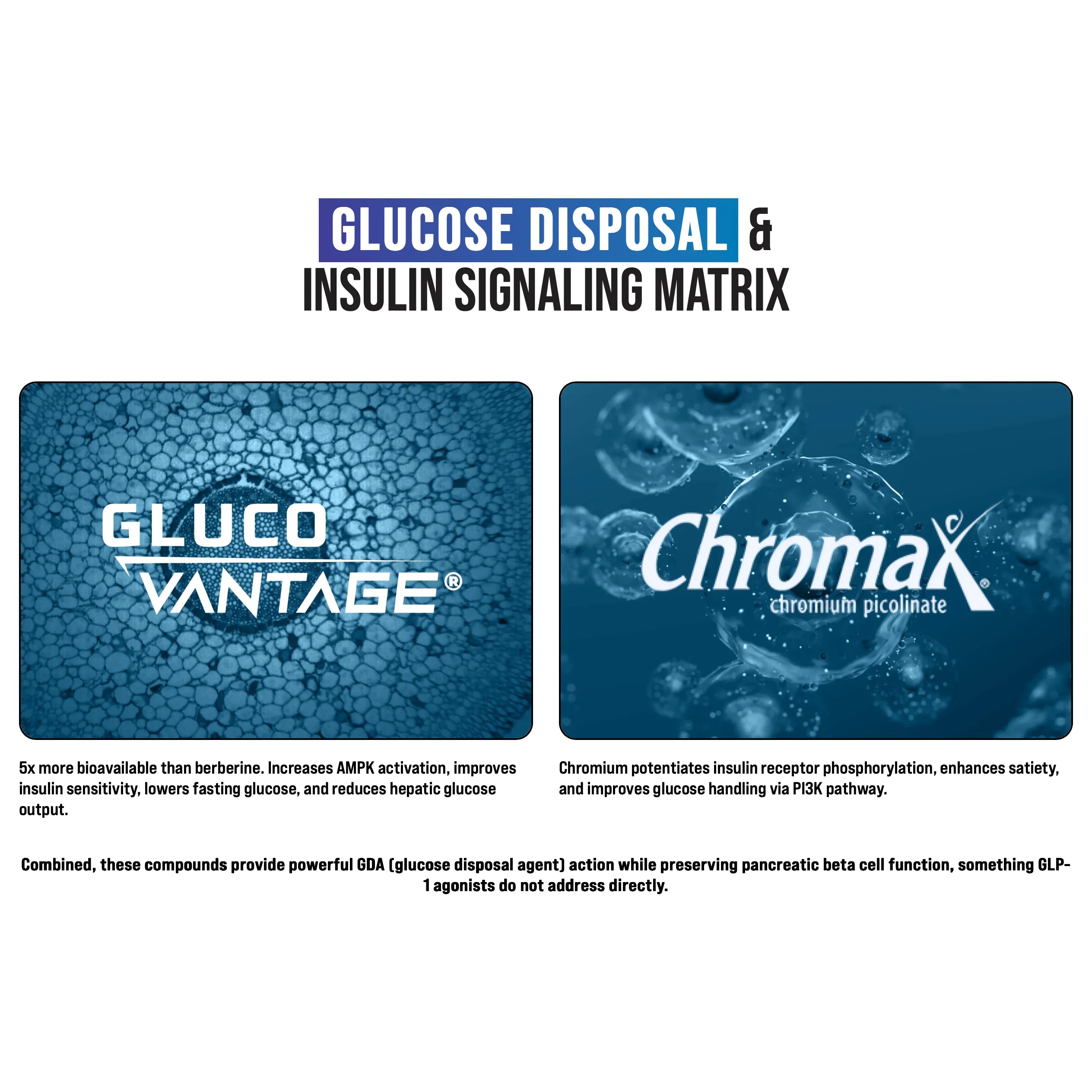 Inspired GLX-N101 Nutrition