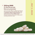 Jarrow NMN 300 mg-N101 Nutrition