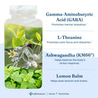 LifeSeasons Anxie-T Gummies-N101 Nutrition