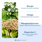 LifeSeasons Clari-T-N101 Nutrition
