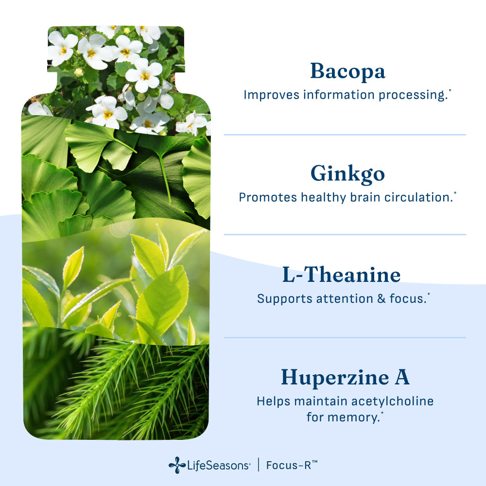 LifeSeasons Focus-R-N101 Nutrition