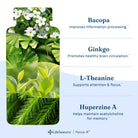 LifeSeasons Focus-R-N101 Nutrition