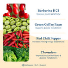 LifeSeasons GLP-1 Support with Berberine HCl-N101 Nutrition