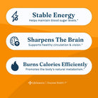 LifeSeasons Glucose Stabili-T-N101 Nutrition