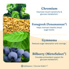 LifeSeasons Glucose Stabili-T-N101 Nutrition