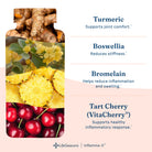 LifeSeasons Inflamma-X-N101 Nutrition