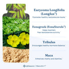 LifeSeasons Masculini-T Testosterone Support-N101 Nutrition