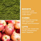 LifeSeasons Metabolism Weight Management-N101 Nutrition