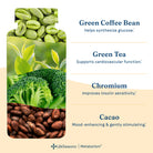 LifeSeasons Metabolism Weight Management-N101 Nutrition