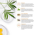 LifeSeasons Metabolism Weight Management-N101 Nutrition