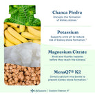 LifeSeasons Oxalate Cleanse-R™-N101 Nutrition
