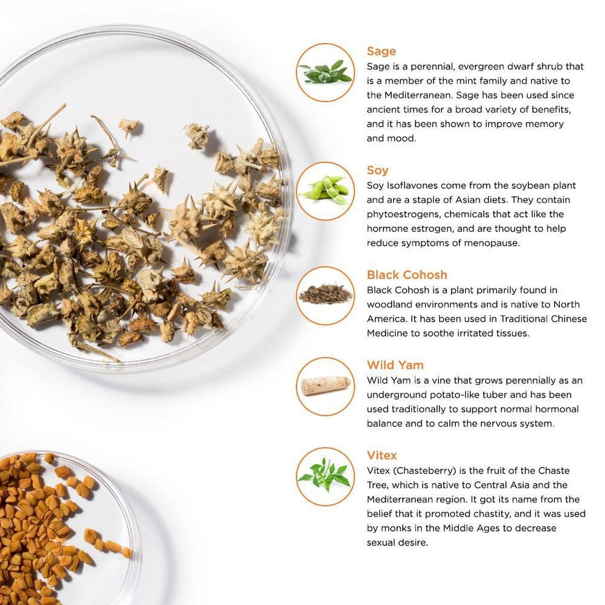LifeSeasons Pausitivi-T-N101 Nutrition