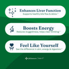 LifeSeasons Puri-T Liver Support-N101 Nutrition