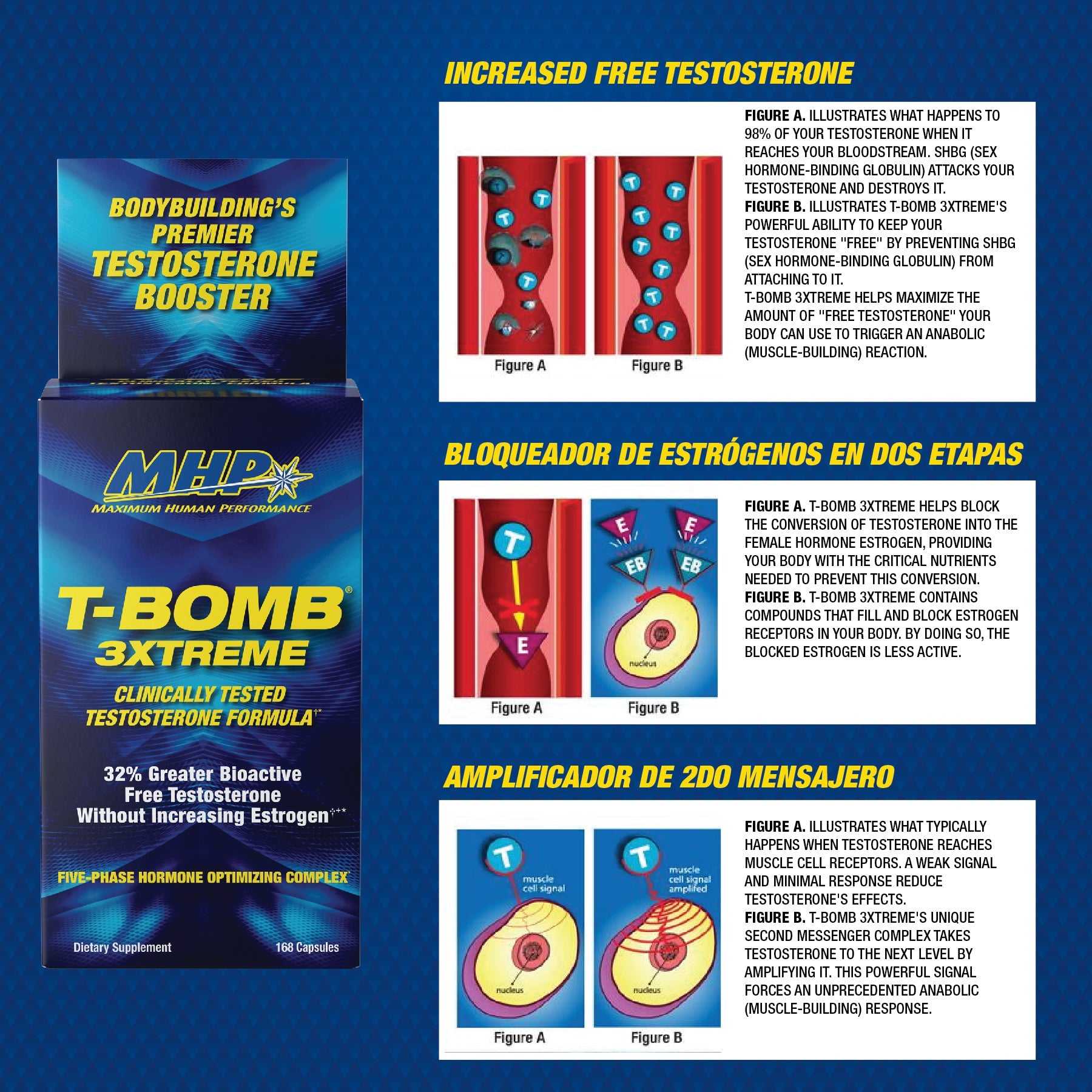 MHP T-BOMB 3xtreme-N101 Nutrition