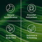 Nature's Sunshine Chlorophyll Detoxifying Stick Packs-N101 Nutrition
