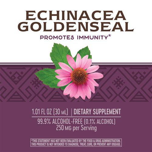 Nature's Way Echinacea Goldenseal (Alcohol-Free Liquid)-1 fl oz (30 mL)-N101 Nutrition