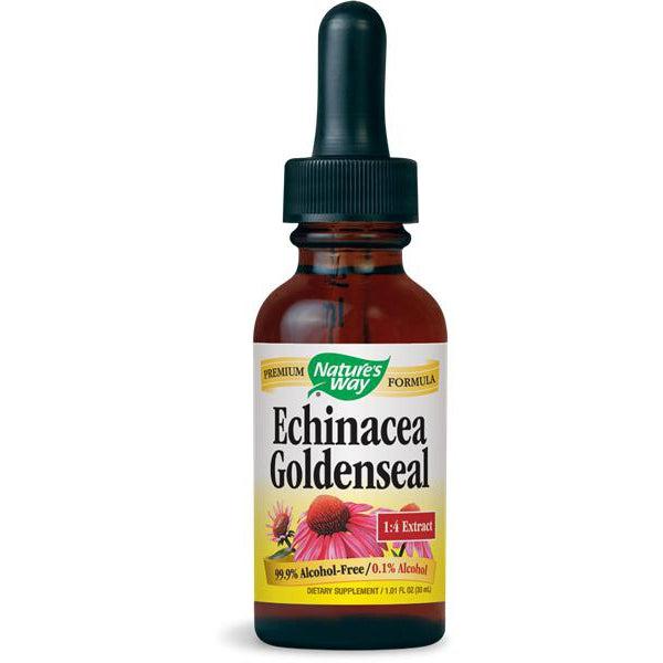 Nature's Way Echinacea Goldenseal (Alcohol-Free Liquid)-1 fl oz (30 mL)-N101 Nutrition