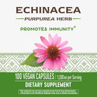 Nature's Way Echinacea Purpurea Herb-100 vegan capsules-N101 Nutrition