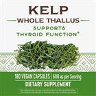 Nature's Way Kelp (Value Size)-180 vegan capsules-N101 Nutrition