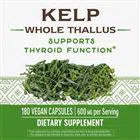 Nature's Way Kelp (Value Size)-180 vegan capsules-N101 Nutrition