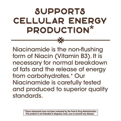 Nature's Way Niacinamide (non-flushing) 500 mg-100 capsules-N101 Nutrition