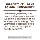 Nature's Way Riboflavin (Vitamin B2) 100 mg-100 capsules-N101 Nutrition