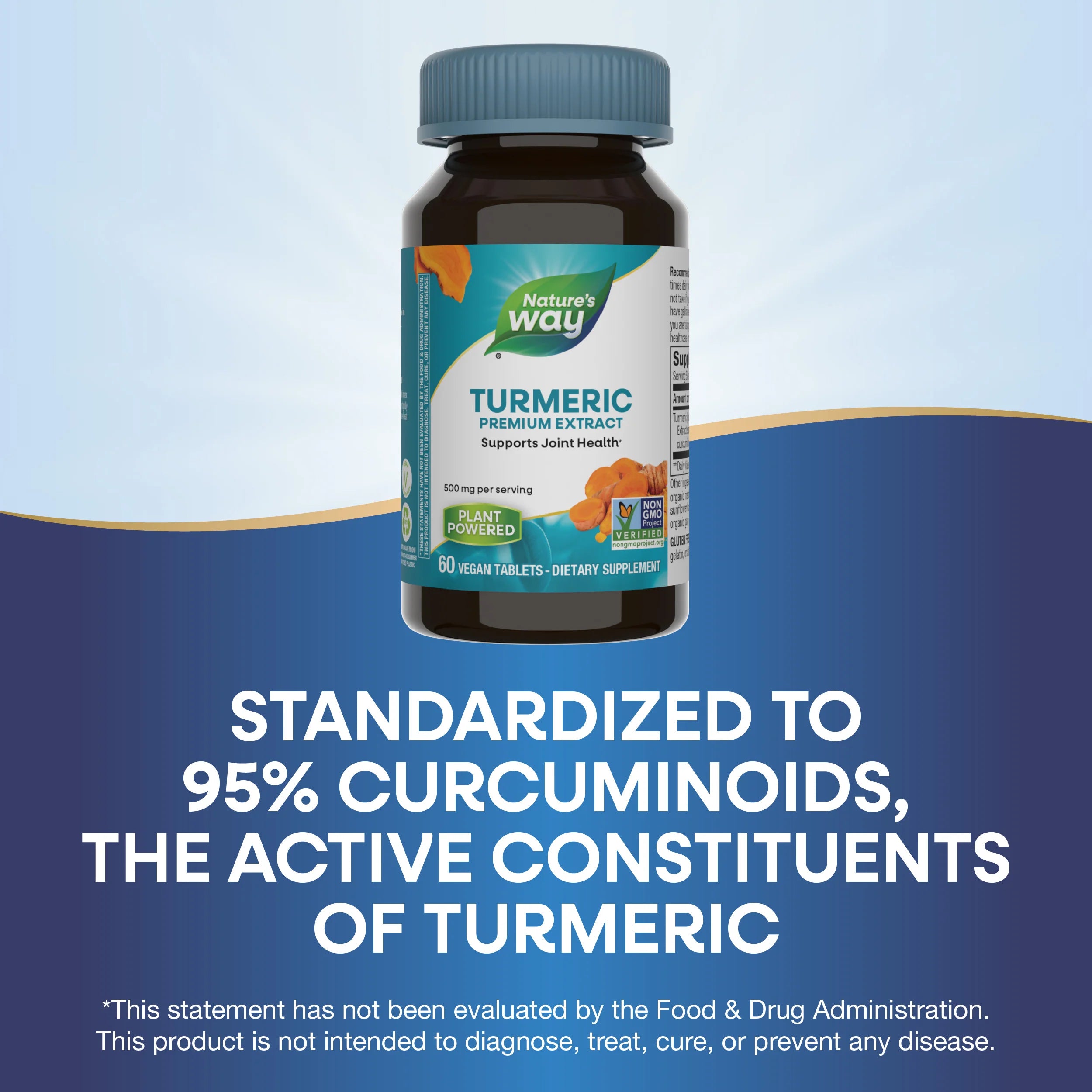 Nature's Way Turmeric Extract-60 vegan tablets-N101 Nutrition