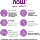NOW Solutions Rose Hip Seed Oil-N101 Nutrition