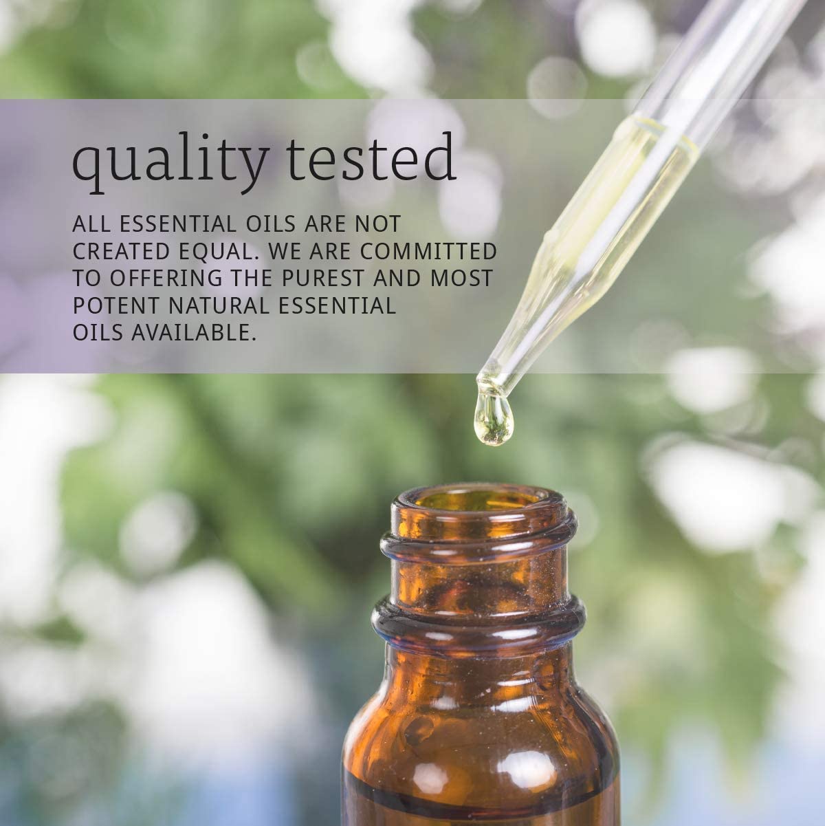 NOW Solutions Rose Hip Seed Oil-N101 Nutrition