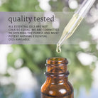 NOW Solutions Rose Hip Seed Oil-N101 Nutrition
