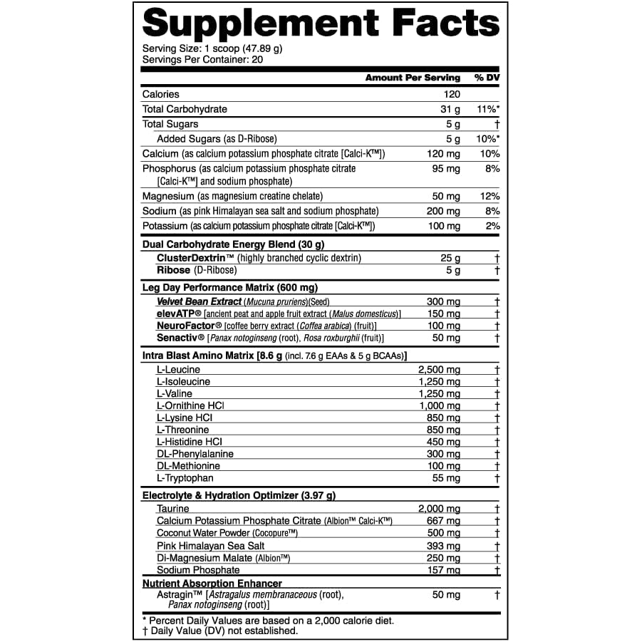 NutraBio Leg Day-N101 Nutrition