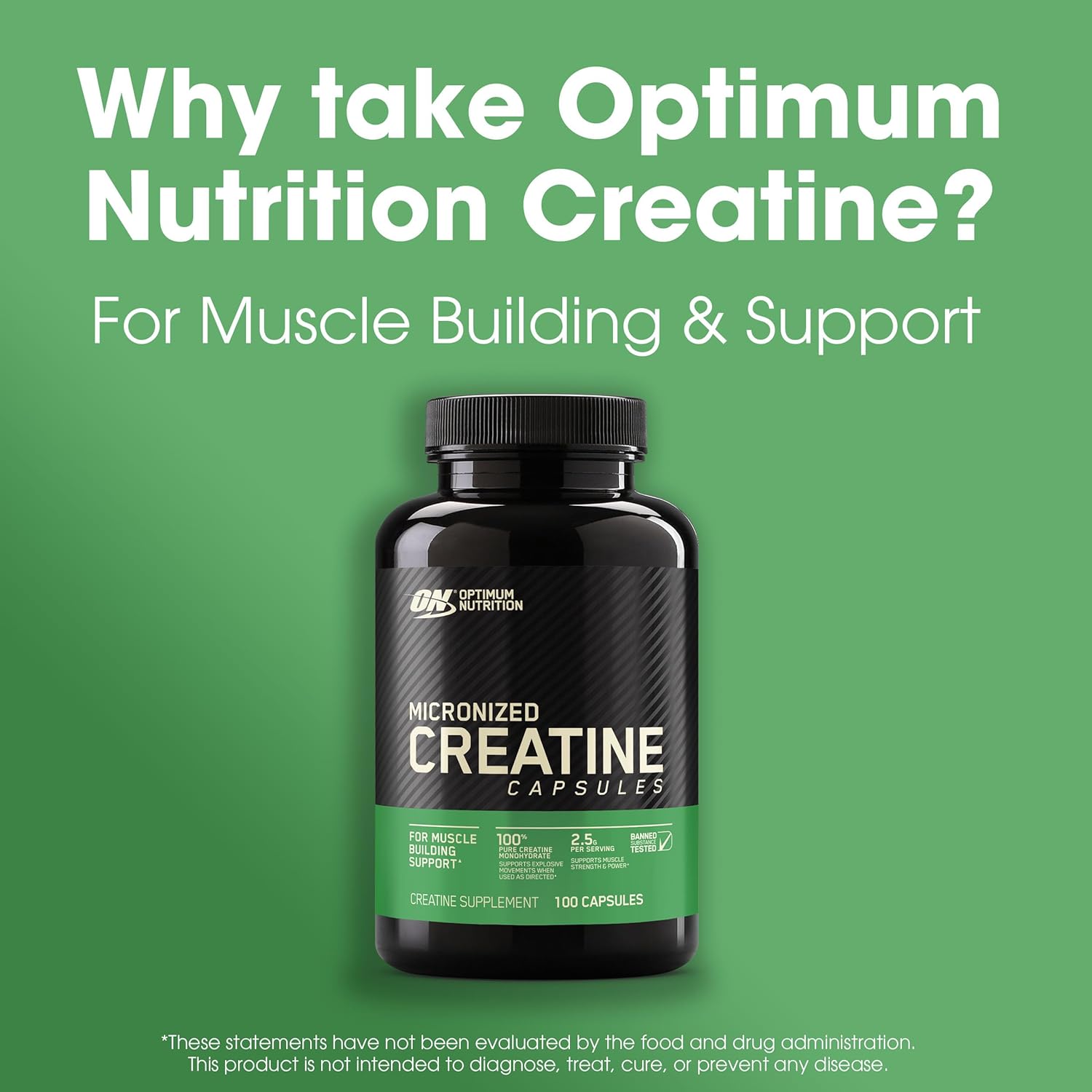 Optimum Nutrition Micronized Creatine Capsules-N101 Nutrition