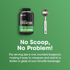 Optimum Nutrition Micronized Creatine Powder - Unflavored-N101 Nutrition