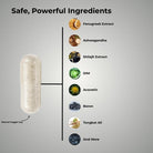 Psycho Pharma Thunderstruck-N101 Nutrition