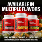 RAW Nutrition Premium Carbohydrate Fuel-N101 Nutrition
